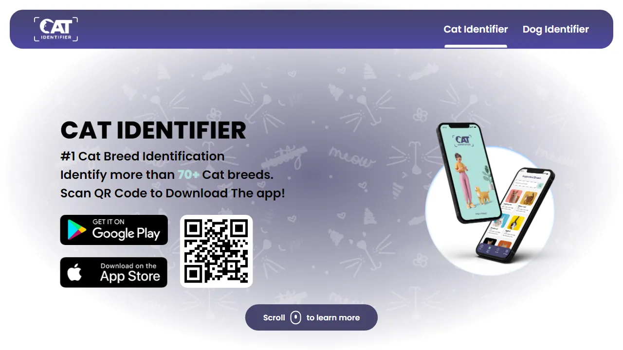 The Cat Identifier | FutureHurry