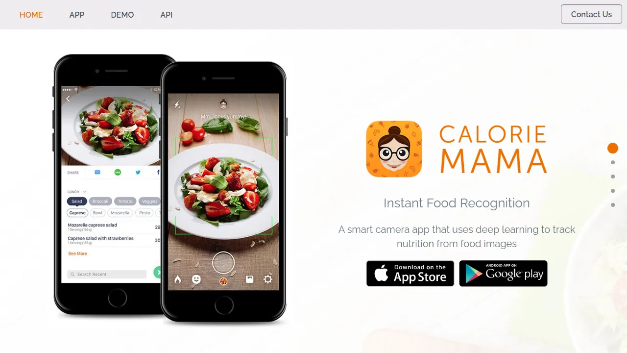 Calorie Mama AI | FutureHurry